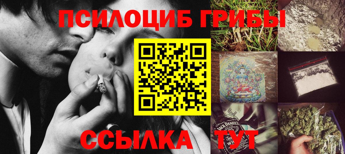 Невинномысск  наркота  Вход с VPN  Псилоцибиновые грибы Psilocybine cubensis 